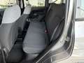 Fiat Panda 1.0 Hybrid 70Cv - Vari Modelli + Colori Grigio - thumbnail 7