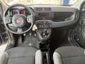 Fiat Panda 1.0 Hybrid 70Cv - Vari Modelli + Colori Grigio - thumbnail 4