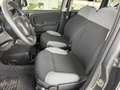 Fiat Panda 1.0 Hybrid 70Cv - Vari Modelli + Colori Grigio - thumbnail 6