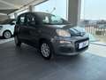 Fiat Panda 1.0 Hybrid 70Cv - Vari Modelli + Colori Grigio - thumbnail 1