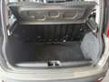 Fiat Panda 1.0 Hybrid 70Cv - Vari Modelli + Colori Grigio - thumbnail 9