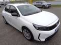 Opel Corsa 1,2 Euro 6.4 Weiß - thumbnail 2