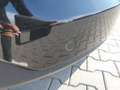 Ford Kuga 1.5 EcoBlue 120 CV 2WD Titanium Business Nero - thumbnail 7