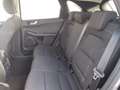 Ford Kuga 1.5 EcoBlue 120 CV 2WD Titanium Business Nero - thumbnail 15