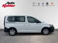 Volkswagen Caddy 1.5 TSI AHK Winter Paket Tempomat Blanc - thumbnail 5