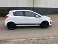 Opel Corsa 1.3 CDTi EcoFlex S/S Business+ Wit - thumbnail 8