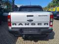 Ford Ranger Wildtrak 3,2 Doka 4x4 AHK 3,5t Rollo Diff Silber - thumbnail 9