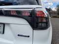 Suzuki S-Cross 1.4 Comfort+ Hybrid Allgrip 6 J. Garantie Weiß - thumbnail 6