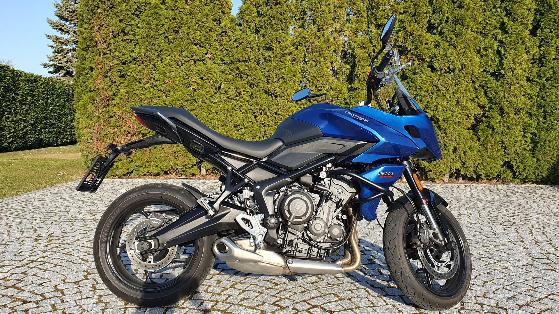 Triumph Tiger Sport 660 Modrá - 1