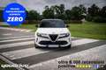 Alfa Romeo Junior 1.2 136 CV Hybrid eDCT6 Speciale KM0 Bianco - thumbnail 1