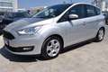 Ford C-Max 1.5 TDCi 95CV Start&Stop Business Grigio - thumbnail 1