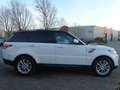 Land Rover Range Rover Sport 3.0 V6 Supercharged HSE Dynamic - PANORAMA - STOEL Alb - thumbnail 9