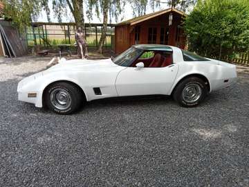 targa