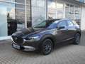 Mazda CX-30 2.0l 150PS SELECTION #HUD#NAVI#SHZ#LRHZ#KEYLES#PDC Grau - thumbnail 1
