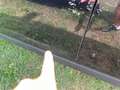 MINI One D Clubman Mini One D Clubman Airco 200000km Zwart - thumbnail 9