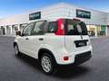 Fiat Panda Hybrid 1.0 51kw+Pack Comfort Plus - Blanco - thumbnail 9