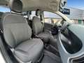 Fiat Panda Hybrid 1.0 51kw+Pack Comfort Plus - Blanco - thumbnail 15