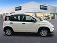 Fiat Panda Hybrid 1.0 51kw+Pack Comfort Plus - Blanco - thumbnail 5