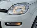 Fiat Panda Hybrid 1.0 51kw+Pack Comfort Plus - Blanco - thumbnail 26