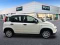 Fiat Panda Hybrid 1.0 51kw+Pack Comfort Plus - Blanco - thumbnail 4