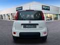 Fiat Panda Hybrid 1.0 51kw+Pack Comfort Plus - Blanco - thumbnail 6