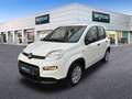 Fiat Panda Hybrid 1.0 51kw+Pack Comfort Plus - Blanc - thumbnail 1