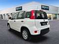 Fiat Panda Hybrid 1.0 51kw+Pack Comfort Plus - Blanco - thumbnail 8
