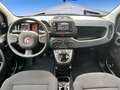 Fiat Panda Hybrid 1.0 51kw+Pack Comfort Plus - Blanco - thumbnail 8