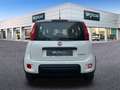 Fiat Panda Hybrid 1.0 51kw+Pack Comfort Plus - Blanco - thumbnail 5