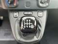 Fiat Panda Hybrid 1.0 51kw+Pack Comfort Plus - Blanc - thumbnail 22