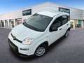 Fiat Panda Hybrid 1.0 51kw+Pack Comfort Plus - Blanco - thumbnail 24