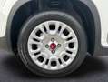 Fiat Panda Hybrid 1.0 51kw+Pack Comfort Plus - Blanco - thumbnail 12