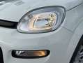Fiat Panda Hybrid 1.0 51kw+Pack Comfort Plus - Blanco - thumbnail 25