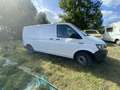 Volkswagen T6 Transporter Blanc - thumbnail 3