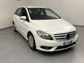 Mercedes-Benz B 180 B 180 CDI Chrome Bianco - thumbnail 5