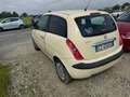Lancia Ypsilon Ypsilon 1.2 8v Oro Beige - thumbnail 4