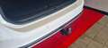 Volkswagen Golf VII Alltrack BMT 4Motion Leder Pano LED ACC Weiß - thumbnail 5