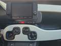 Fiat Panda Panda 1.0 FireFly S&S Hybrid Pandina Rood - thumbnail 11