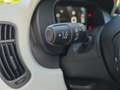 Fiat Panda Panda 1.0 FireFly S&S Hybrid Pandina Rood - thumbnail 20