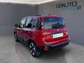 Fiat Panda Panda 1.0 FireFly S&S Hybrid Pandina Rood - thumbnail 5