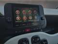 Fiat Panda Panda 1.0 FireFly S&S Hybrid Pandina Rood - thumbnail 13