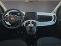 Fiat Panda Panda 1.0 FireFly S&S Hybrid Pandina Rood - thumbnail 8