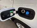 Ford Kuga Cool & Connect 2,0 EBlue 150PS A8 AWD Weiß - thumbnail 18