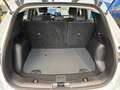 Ford Kuga Cool & Connect 2,0 EBlue 150PS A8 AWD Weiß - thumbnail 10