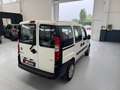 Fiat Doblo 1.9 JTD cat Cargo Lamierato SX Blanc - thumbnail 6