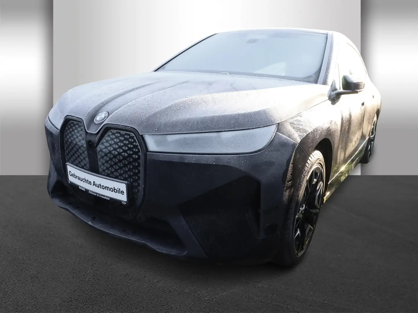 BMW iX xDrive40 Sportpaket Klimaaut. AHK Soft-Close Grau - 2