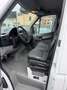 Mercedes-Benz Sprinter 319 CDi 3.0 Koffer 4,2 M 2.HAND Blanc - thumbnail 13