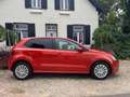 Volkswagen Polo 1.6 TDI|Clima|Cruise|5DRS|Nette auto! Arancione - thumbnail 5