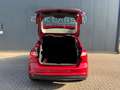 Ford Focus 1.6 TI-VCT Trend Rood - thumbnail 21