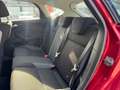 Ford Focus 1.6 TI-VCT Trend Rood - thumbnail 14
